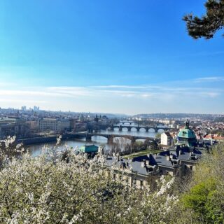 View of all the bridges of Prague